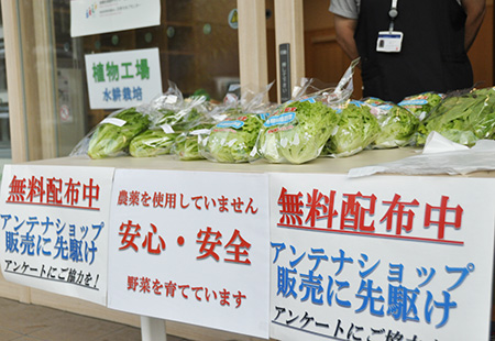 アンテナショップの陳列