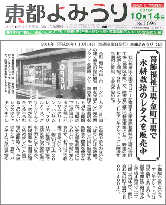 東都よみうり新聞の記事