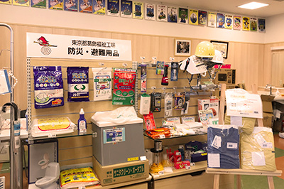 店内のようす