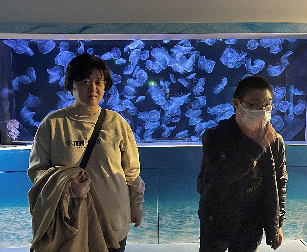 クラゲをバックに