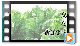 東京都葛飾福祉工場のご紹介